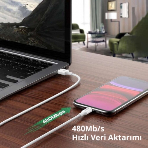Ugreen 80823 Şarj Kablosu (2 m)