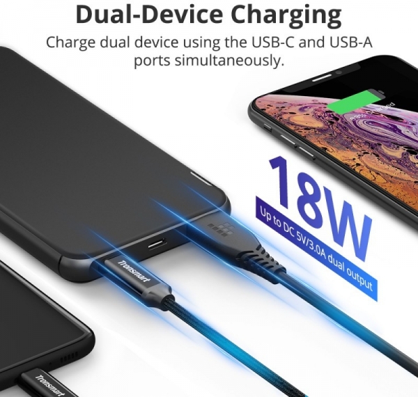Tronsmart PBD02 10000 mAh Powerbank