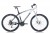 Bianchi TDL 1300 Dağ Bisikleti