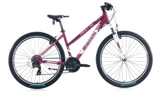 Bianchi RCX 237 Dağ Bisikleti