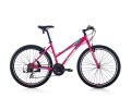 Bianchi RCX 105 resim