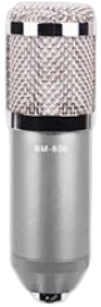 Ally BM800 Mikrofon