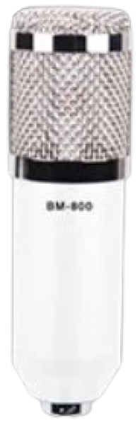 Ally BM800 Mikrofon
