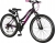 Trendbike Cross Country 26 Lady Dağ Bisikleti