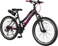 Trendbike Cross Country 24 Lady resim