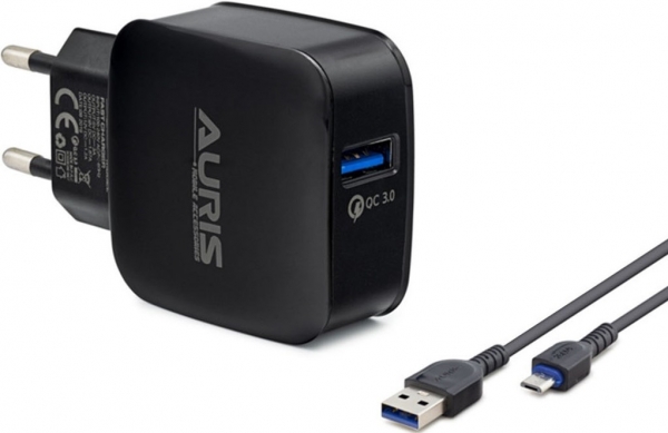 Auris ARS-CH14 Şarj Aleti (USB Micro-B)