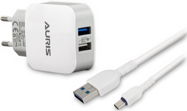 Auris ARS-CH18 Şarj Aleti (USB Type-C)