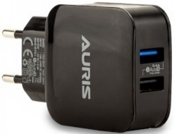 Auris ARS-CH18 Şarj Aleti (USB Type-C)