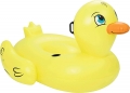 Bestway 41106 resim