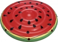 Bestway 43140 resim