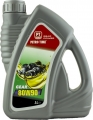 Petro Time Gear Oil 80W-90 resim