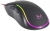Rush RM13 Mouse