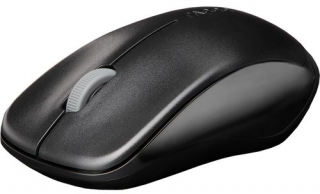 Rapoo Mou 1620 Mouse