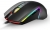 Rapoo V20 Pro Mouse