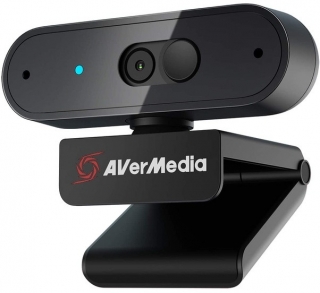Avermedia PW310P Webcam