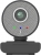 CBTX W66 Webcam