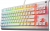 SteelSeries Apex 3 TKL Klavye