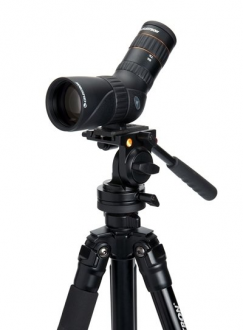 Celestron Hummingbird 7-22x50 Tek Göz Dürbün