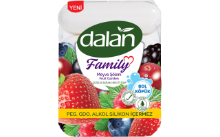 Dalan Family Meyve Şöleni Sabun 300 gr