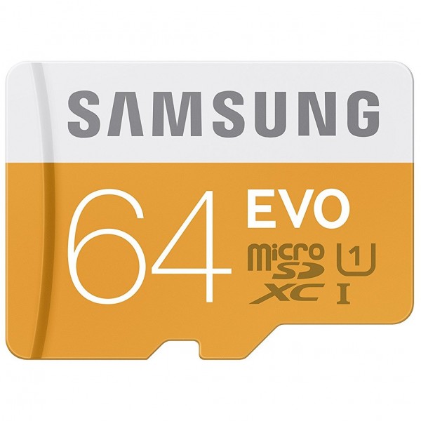 Samsung Evo microSD (64 GB)