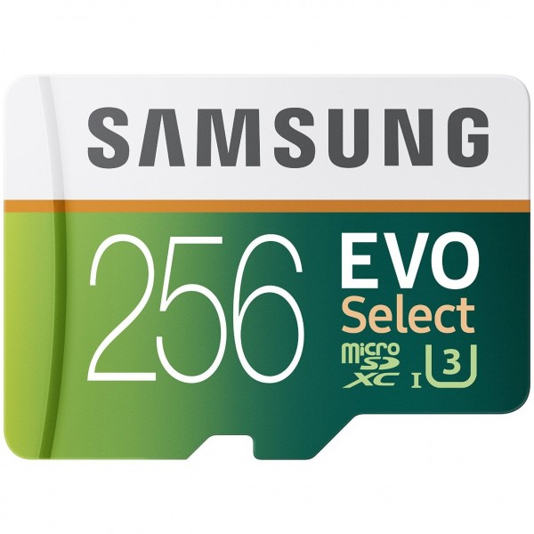 Samsung Evo Select microSD (256 GB)