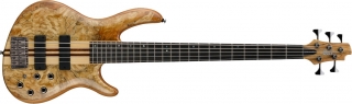 Cort A5 Custom SP Bas Gitar