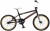 Salcano Team BMX Özel Tasarım Bisiklet
