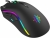 Inca Anahita Mouse
