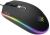 Inca IMG-GT13 Mouse