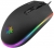 Inca IMG-GT13 Mouse