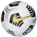 Nike Agl Fligt resim