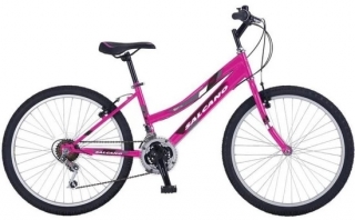 Salcano Excell 26 Lady Dağ Bisikleti
