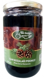 Bee Garden Çam Kozalağı Pekmezi 800 gr Pekmez
