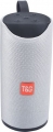 Polygold TG-113 resim