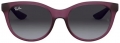 Ray-Ban RJ-9068S-70568G resim