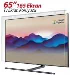 Notvex 65 inç Uyumlu TV Ekran Koruyucu resim
