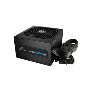FSP Hydro GSM Lite Pro 650W