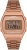Casio B640WC-5ADF Kol Saati