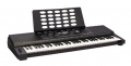 Roland E-X20 resim