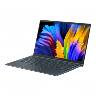 Asus ZenBook 14 UM425QA-KI194W Ultrabook