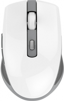 Indena G-219 Mouse