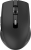Indena G-219 Mouse