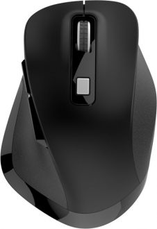 Indena G-526 Mouse