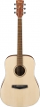 Ibanez PF10 resim