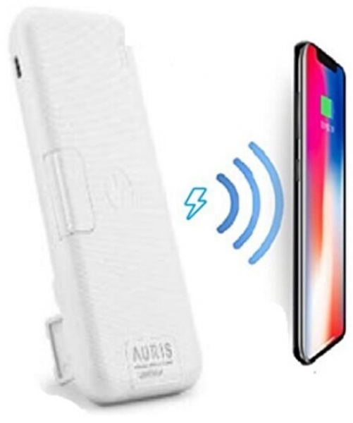 Auris ARS-PB010 12000 mAh Powerbank