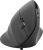 Speedlink Piavo Mouse