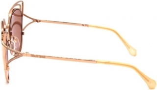Roberto Cavalli RC-1090-33G