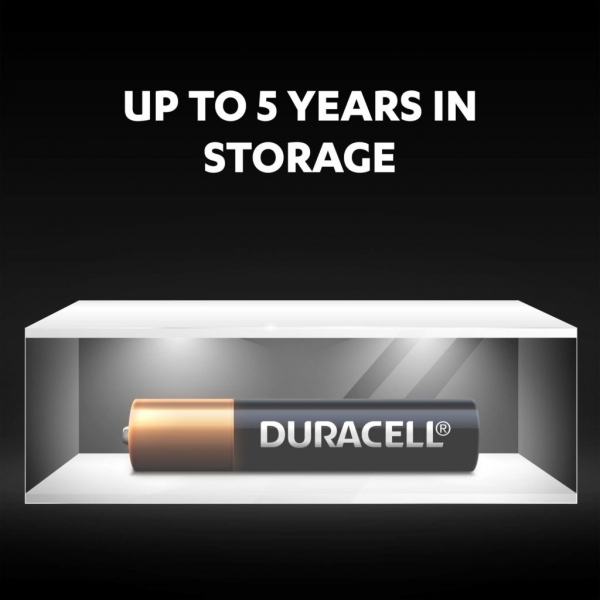 Duracell Basic AAAA 2'li Özel Pil
