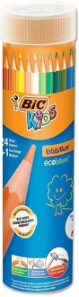 Bic Kids Evolution Kuru Boya Kalemi 24'lü Metal Tüp