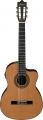 Ibanez GA6CE resim